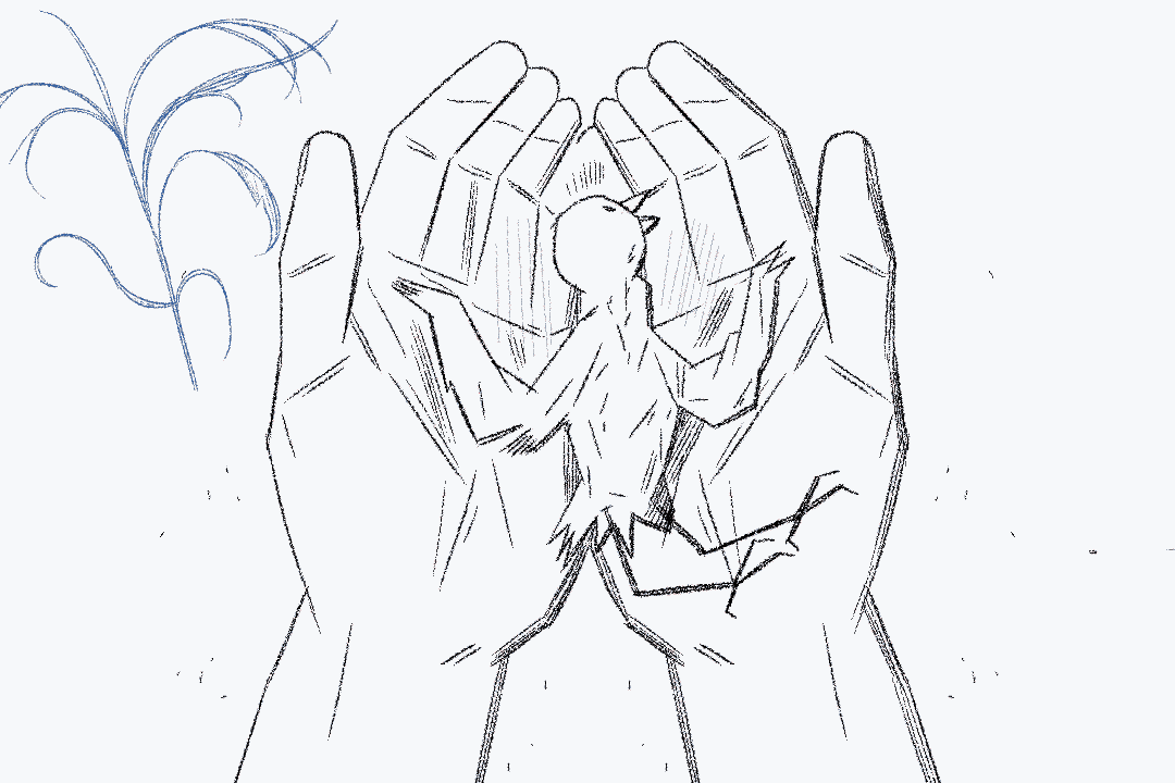 2D Short Animation Planning & Production Roadmap - 2D 단편 애니메이션 기획&제작 [Coloso, Jeonjin Kyu (로드맵...gif