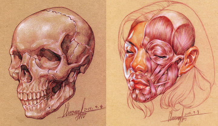 Anatomy Dictionary for Osam's Natural Representation of the Human Body-4.jpg