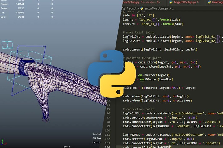 Efficient character rigging basics with Maya and Python-08.jpg