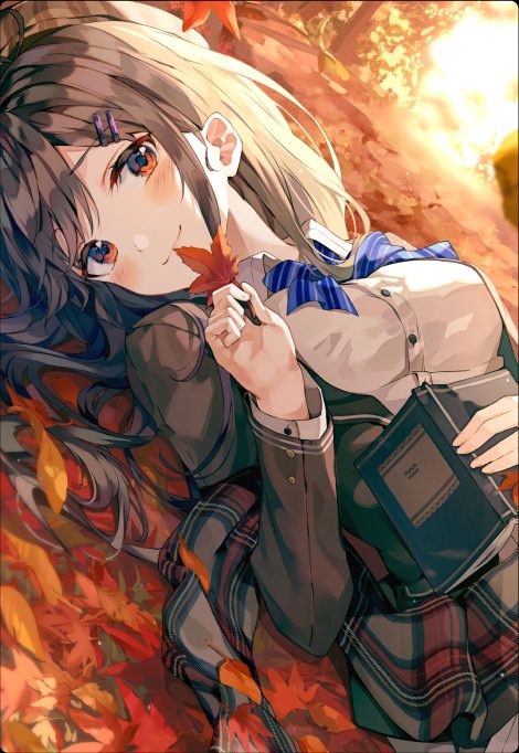 Illustrating Light Novels Evoking Story through Art-00.jpg