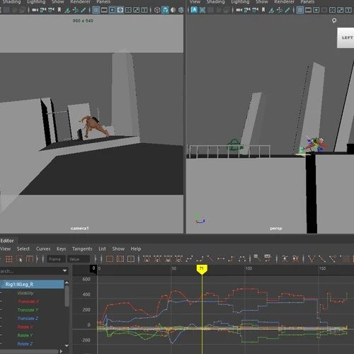 Introduction to Dynamic Body Mechanic [Coloso, Vikram Grewal]-01.jpg