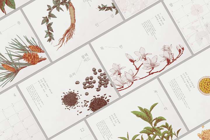 Introduction to Illustration for Graphic Designers-03.jpg