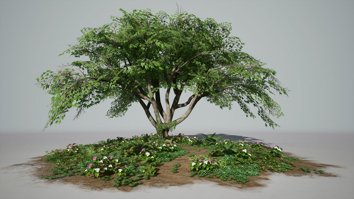 Mostafa-Balakho_Vegetation_PlantsForGames_Gallery-1.jpg