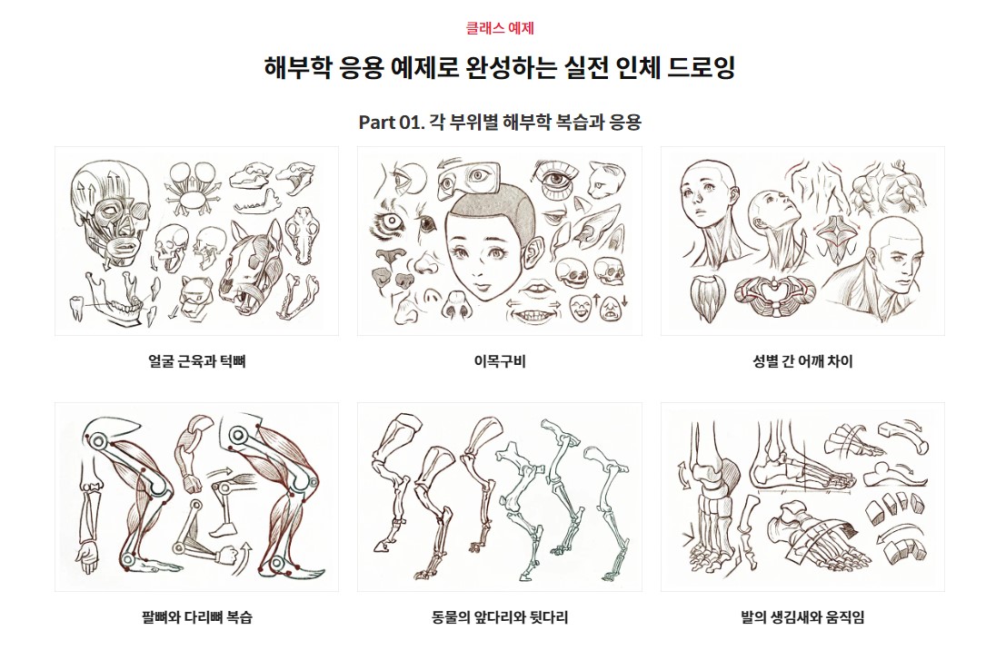 Screenshot_13.jpg