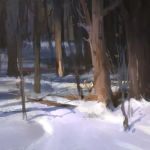 illust-100lecture-result23.png