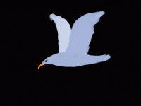 2danimation-tezodonlee-example1.gif