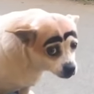 yuukivc